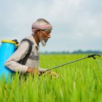Agricultor usando um pulverizador costal para aplicar pesticidas em uma plantação verde.