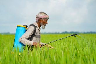 Agricultor usando um pulverizador costal para aplicar pesticidas em uma plantação verde.